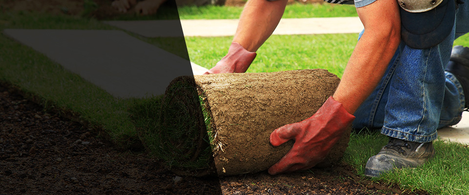 Red Springs Landscapers